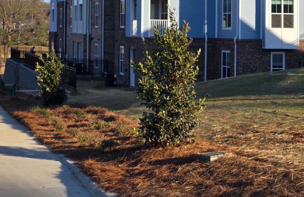 Professional commercial landscaping by TRI Reyes Landscaping in Charlotte, NC