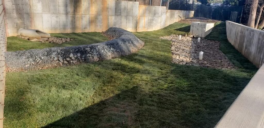 Landscaping work completed by TRI Reyes team